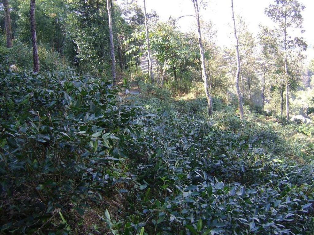 Mystique Highland Resort Pokhara Exteriör bild