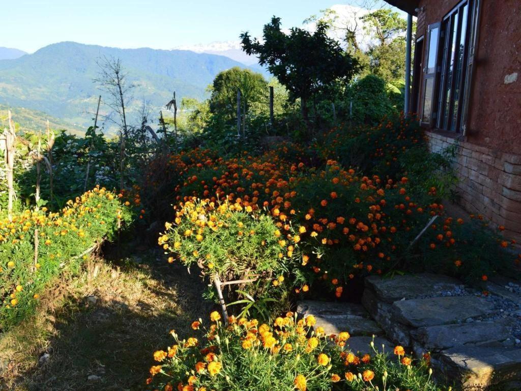 Mystique Highland Resort Pokhara Exteriör bild
